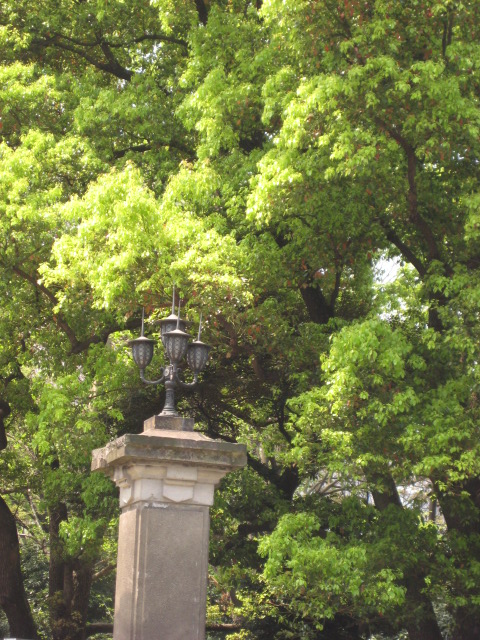 d0147727_2191470.jpg