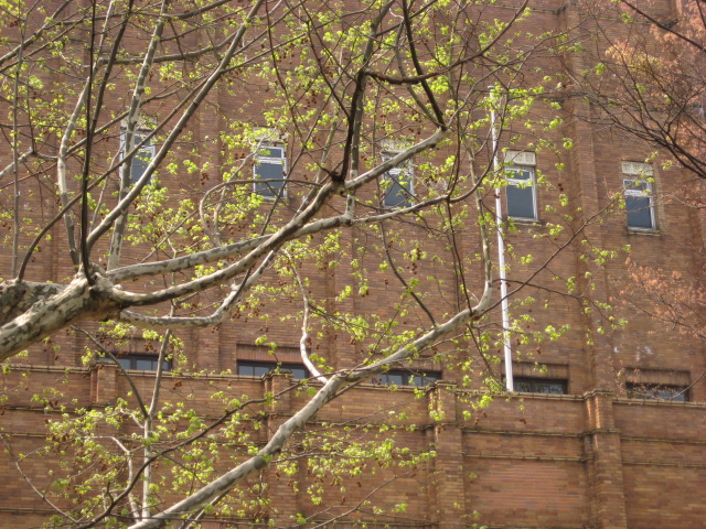 d0147727_2194667.jpg