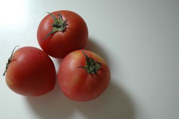 c0191630_8371117.jpg