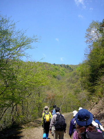 d0075131_23431862.jpg
