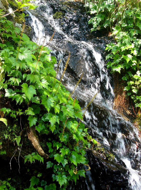 d0075131_23472976.jpg
