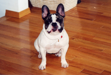 e0008833_10473138.jpg