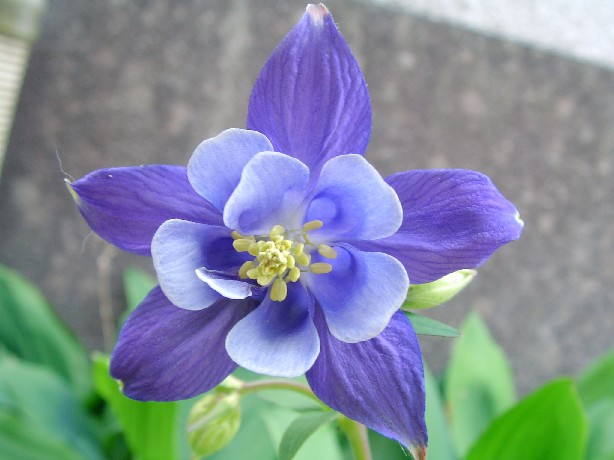 f0002833_22191218.jpg