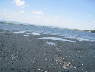 c0134734_12515942.jpg