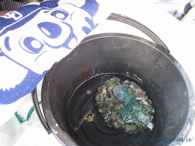 c0134734_1253375.jpg