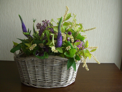 e0110940_1574778.jpg