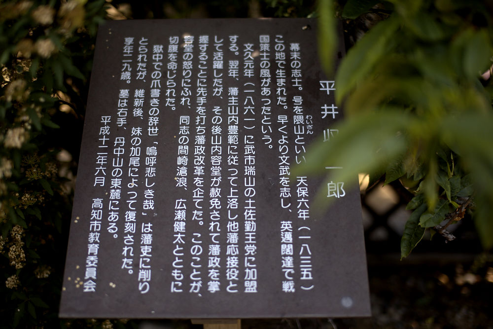 a0078341_22101391.jpg