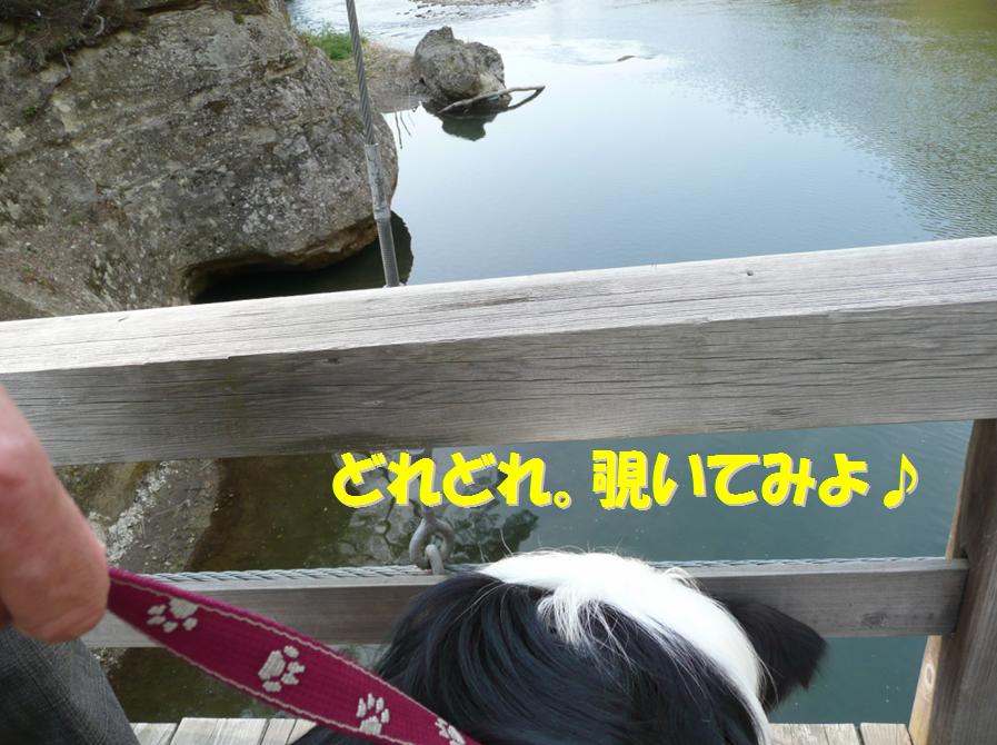 c0147241_121239.jpg
