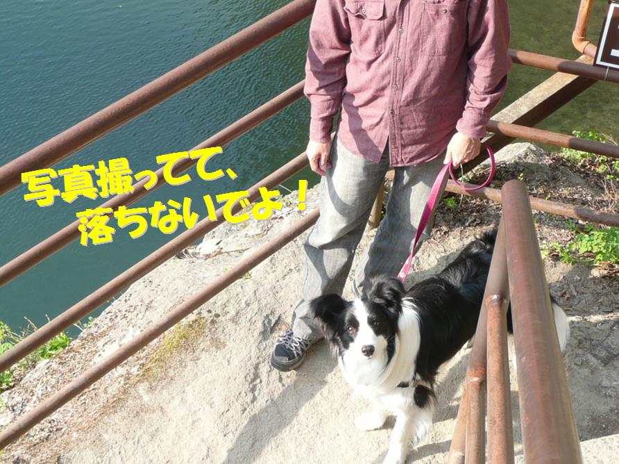 c0147241_122685.jpg