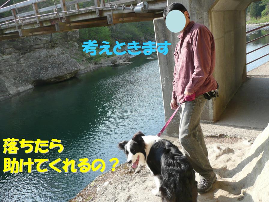 c0147241_124741.jpg