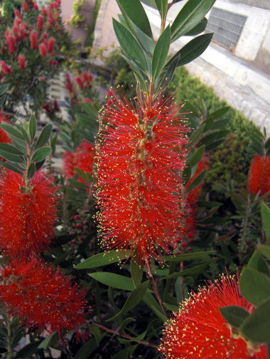 f0094843_172411.jpg