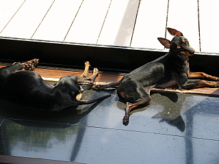 c0123149_15441739.jpg