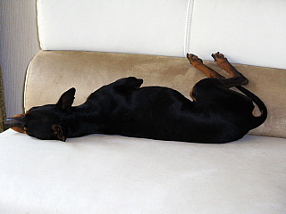c0123149_1545245.jpg