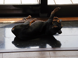 c0123149_15465816.jpg