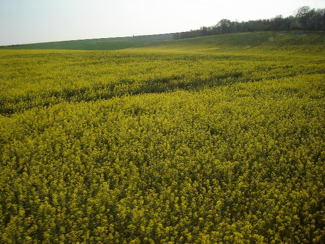 e0018350_3171136.jpg