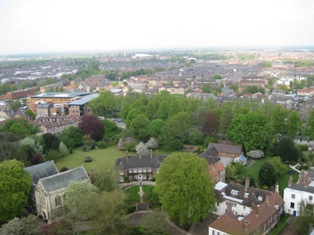 e0018350_8444188.jpg