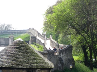 e0018350_98338.jpg