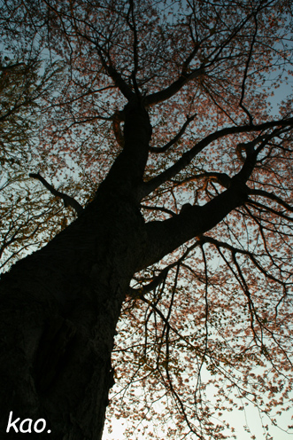 b0164651_2135427.jpg