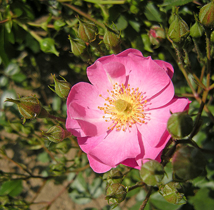 a0001354_20382372.jpg