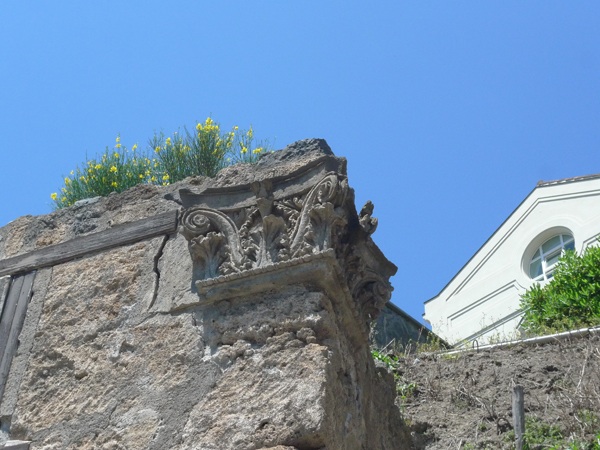 f0204955_226634.jpg