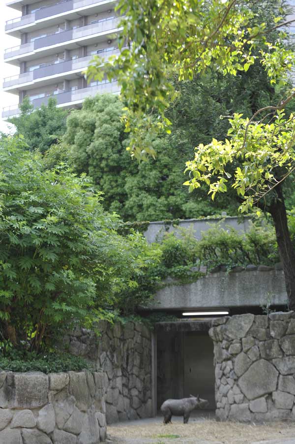 b0023856_19322553.jpg