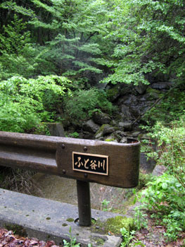 f0007956_17152820.jpg