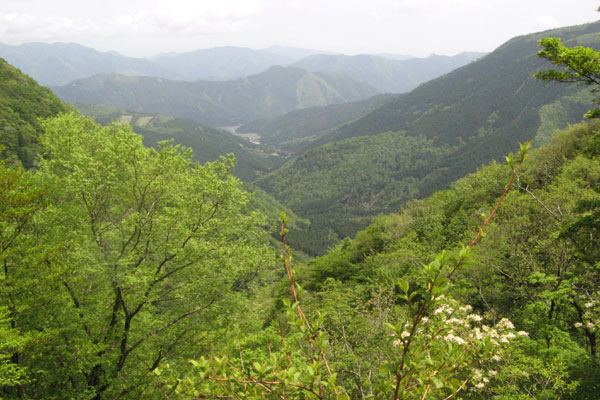 f0007956_17435836.jpg