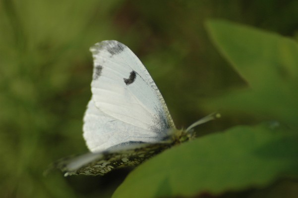 d0098057_2222734.jpg