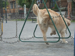 c0097558_20251786.jpg