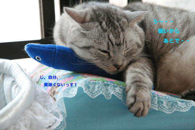 e0158561_1535113.gif