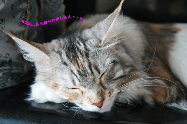 e0158561_15411771.gif