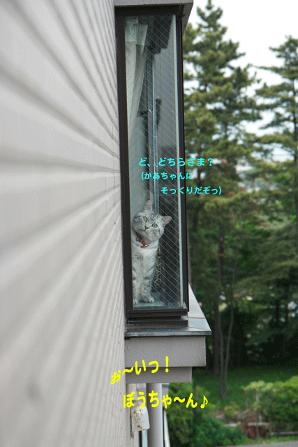 e0158561_15594523.gif