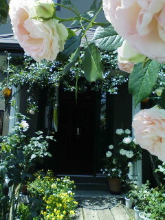 b0145865_17225999.jpg