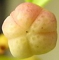 b0169765_1625970.jpg