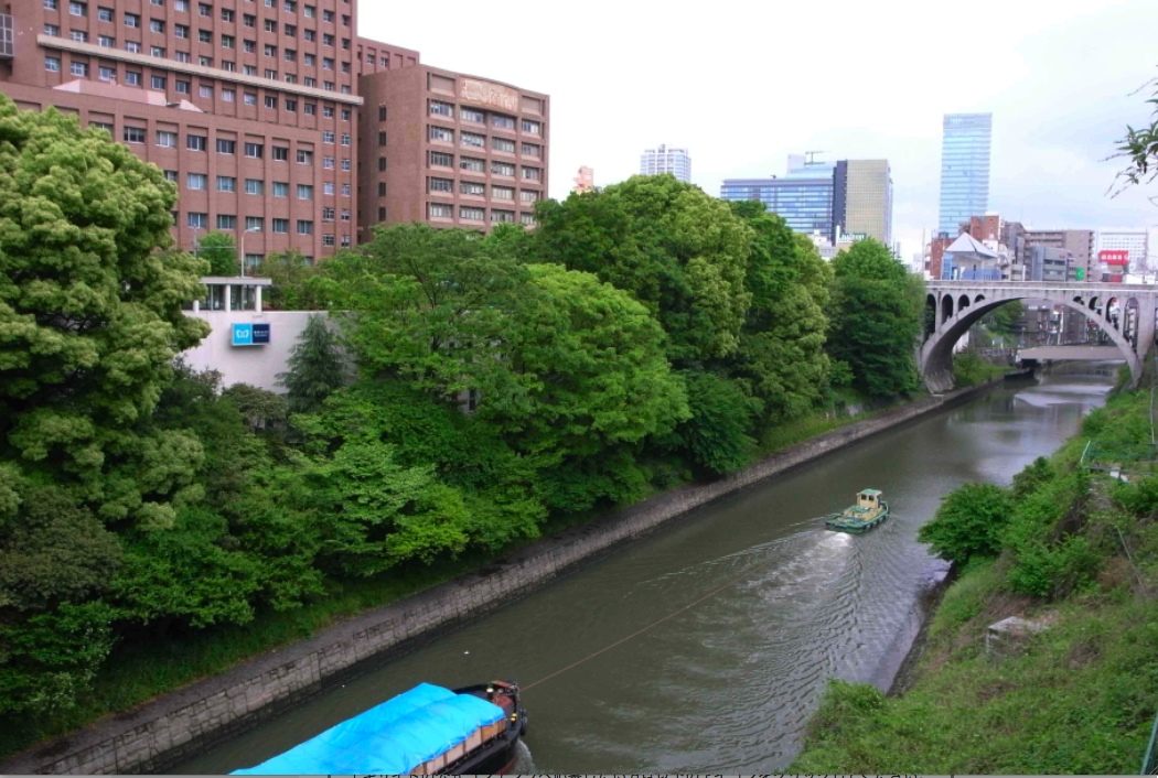 a0049167_11234392.jpg