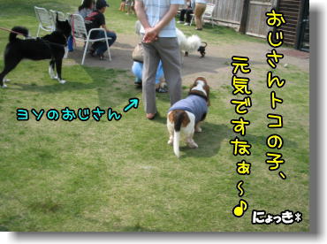 f0204072_830589.jpg