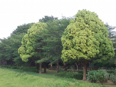 b0143879_12352422.jpg
