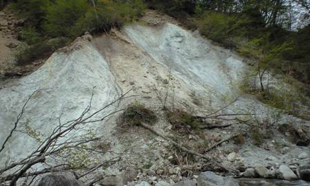 a0091680_1024672.jpg