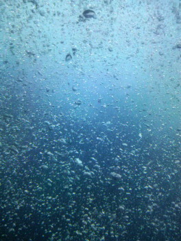 d0128880_16111184.jpg