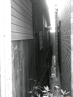f0100480_20504219.jpg