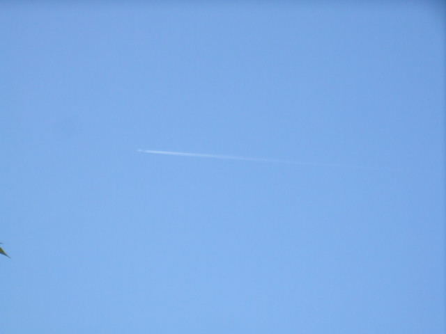 f0005081_20402587.jpg