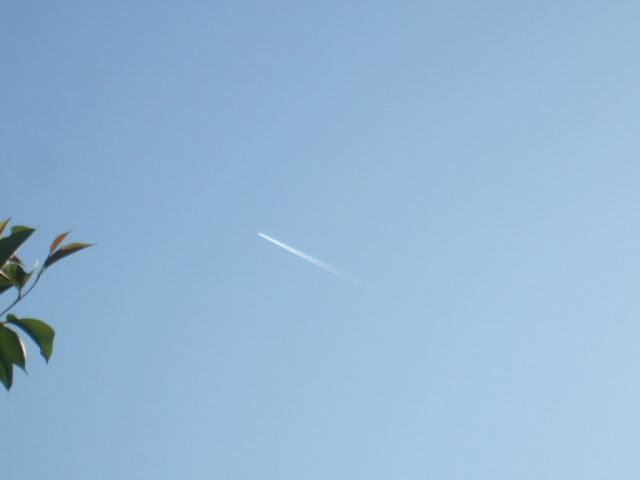 f0005081_2042128.jpg