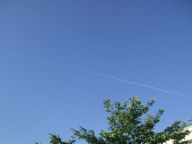 f0005081_20461544.jpg