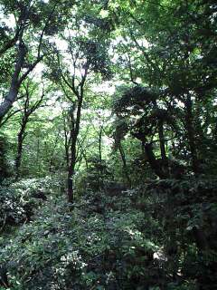 b0080983_19314637.jpg