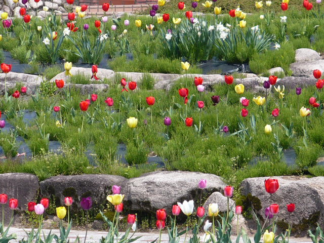 c0198685_10594555.jpg