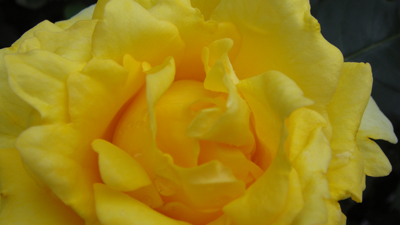 e0008586_2191662.jpg