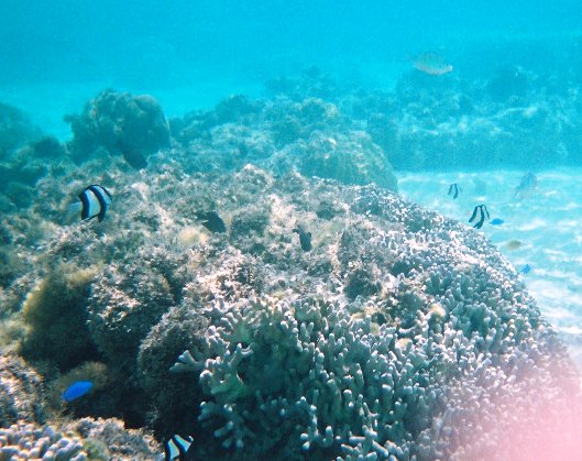f0142986_2093858.jpg