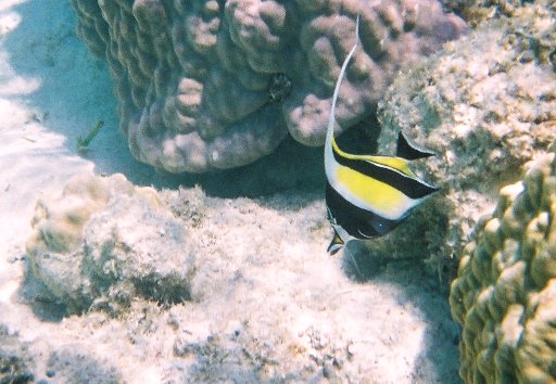f0142986_209991.jpg