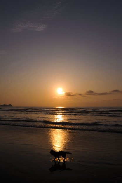 f0112087_1750242.jpg