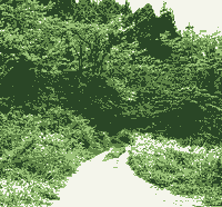 b0022288_3475838.gif